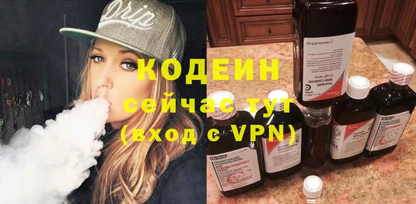 гидра Абаза