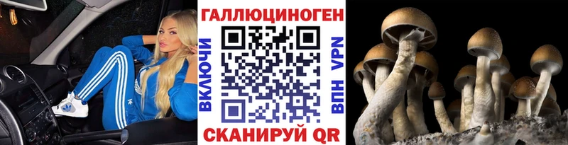 дарк нет клад  Белый  Галлюциногенные грибы Cubensis  ОМГ ОМГ маркетплейс 